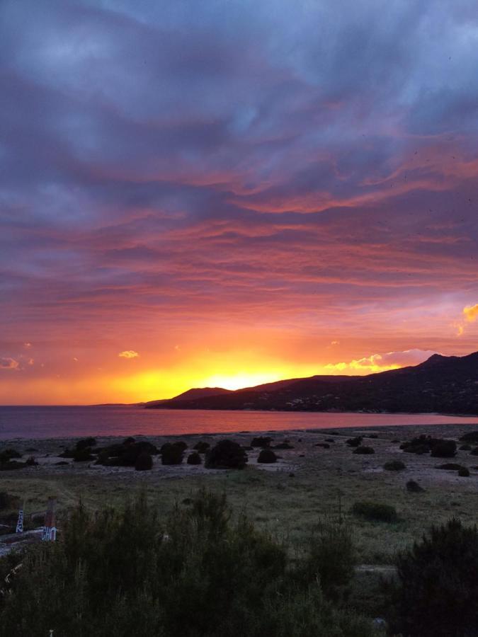 Camping Tikiti Propriano  Eksteriør billede